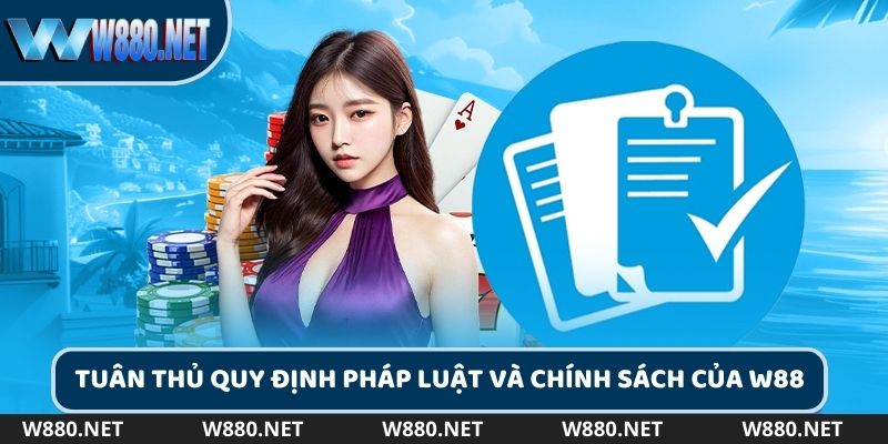 Tuân thủ quy định khi hợp tác đại lý cùng W88