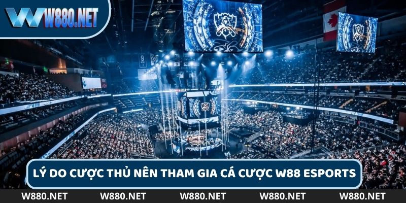 Lý do cược thủ nên tham gia cá cược W88 Esports