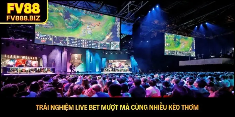 Trải nghiệm live bet mượt mà cùng nhiều kèo thơm