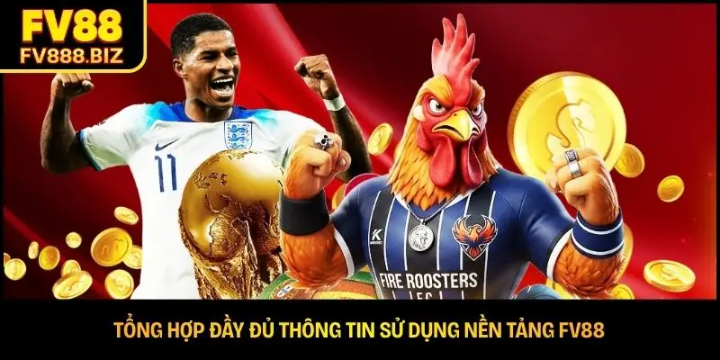 Tổng hợp đầy đủ thông tin sử dụng nền tảng FV88