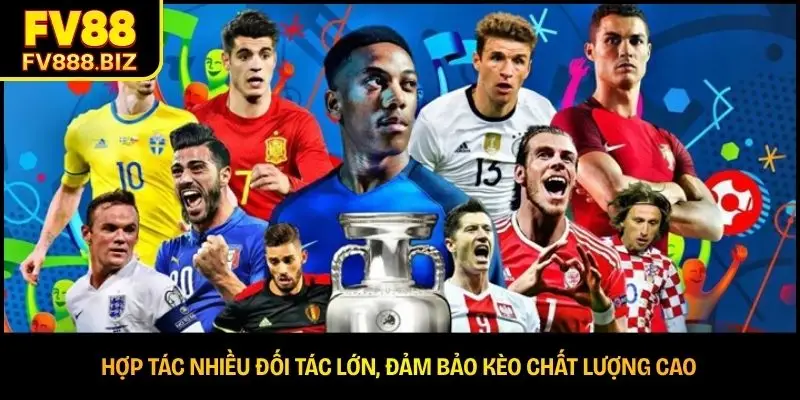 Hợp tác nhiều đối tác lớn, đảm bảo kèo chất lượng cao